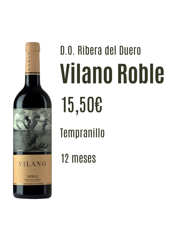 Vilano-Roble-1-768x960